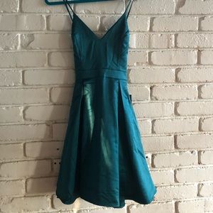 NWT lulus skater dress